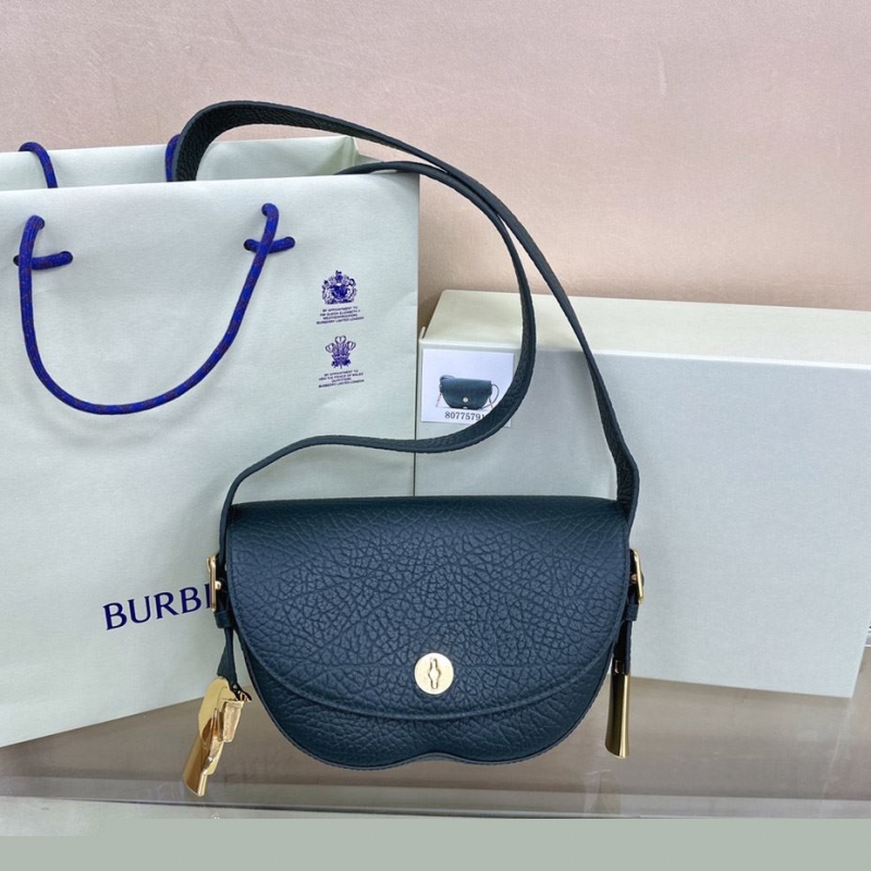 B**rry satchel bags